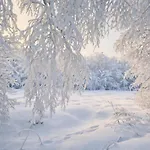 Adorable Arctic - Private Sauna & Free Parking Rovaniemi