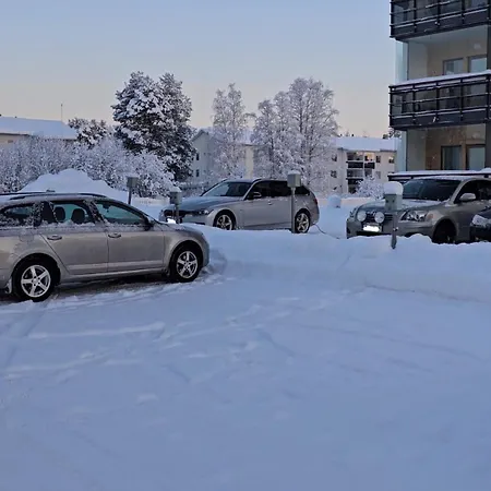 Adorable Arctic With Sauna Apartment Rovaniemi