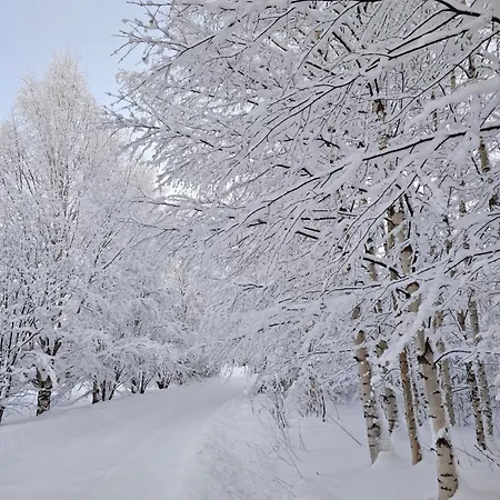 Appartamento Adorable Arctic - Sauna & Free Parking