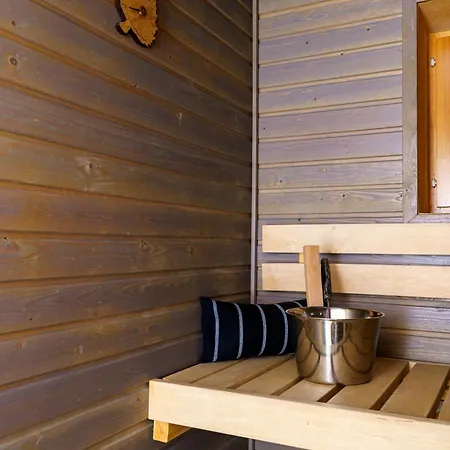 Adorable Arctic With Sauna Apartment