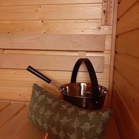Adorable Arctic With Sauna Apartment Rovaniemi