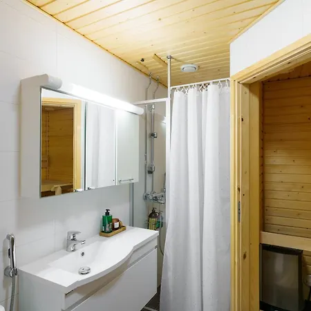 Adorable Arctic With Sauna Apartment
