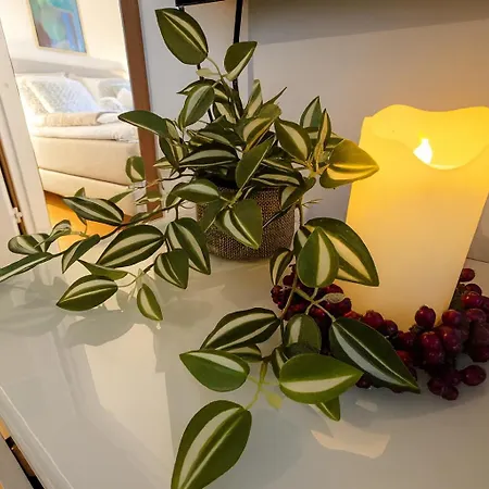 Daire Adorable Arctic - Private Sauna & Free Parking