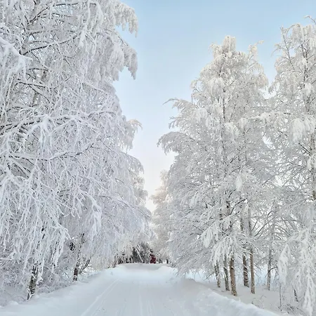 Adorable Arctic - Private Sauna & Free Parking Rovaniemi