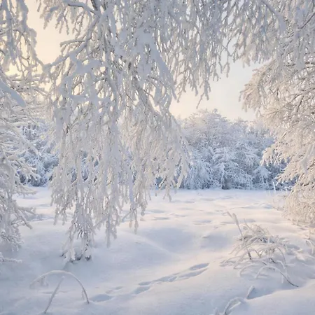 Adorable Arctic - Private Sauna & Free Parking 로바니에미