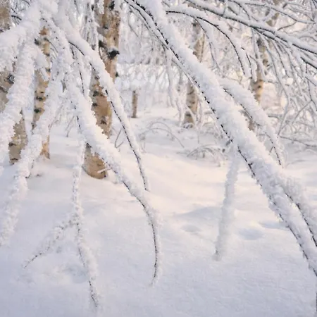 Apartman Adorable Arctic - Private Sauna & Free Parking
