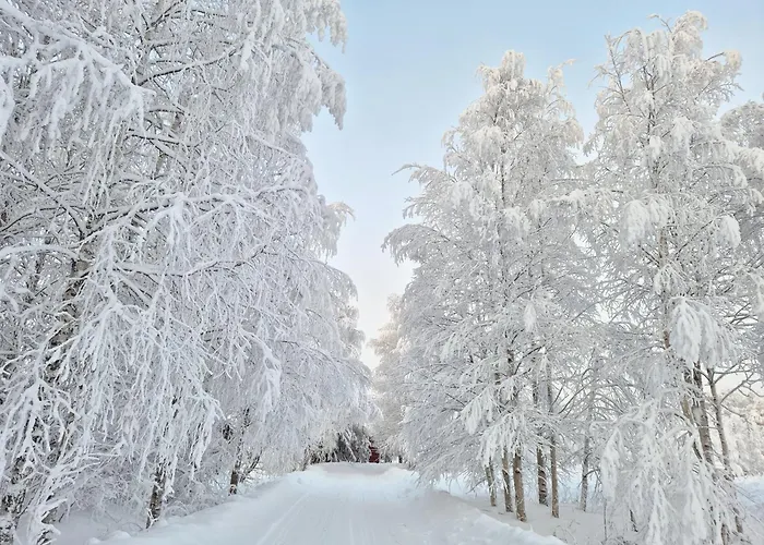 Adorable Arctic - Private Sauna & Free Parking Rovaniemi