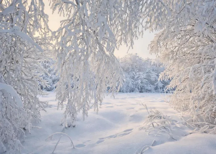 Adorable Arctic - Private Sauna & Free Parking Rovaniemi