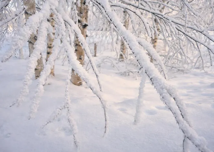 Apartament Adorable Arctic - Private Sauna & Free Parking